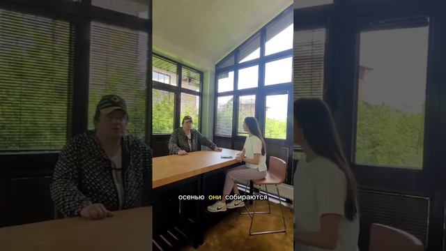 Продолжение нашего интервью с жильцом Новой Ильичевки

Вторая серия