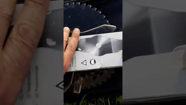 Stihl FS450 Обзор кустореза после 2х лет работы. смотреть онлайн