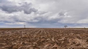 Tokina 16-28 2.8 + nikon d610