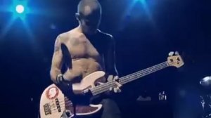 RHCP - Don't Forget Me LIVE (Frusciante is incredible !)