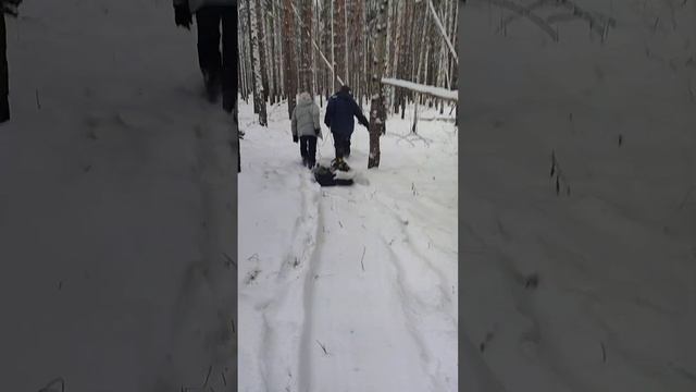 кормим зверя в лесу. зима самое трудное время для зверя.озота в Тюмени #лес #нива #охота #лось #дич смотреть онлайн