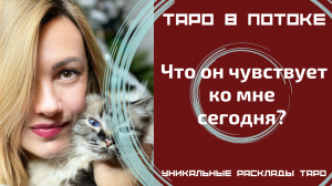 Что он чувствует ко мне сегодня?