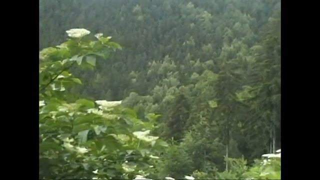 ...chlastací park Muránska Planina :o)) by PuteraPictures смотреть онлайн