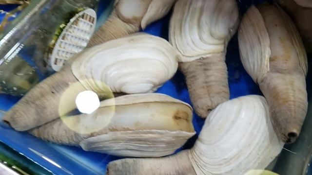 Рыбный рынок - Первый ночной рынок на о. Хайнань г. Санья. Exotic food. Экзотическая рыба