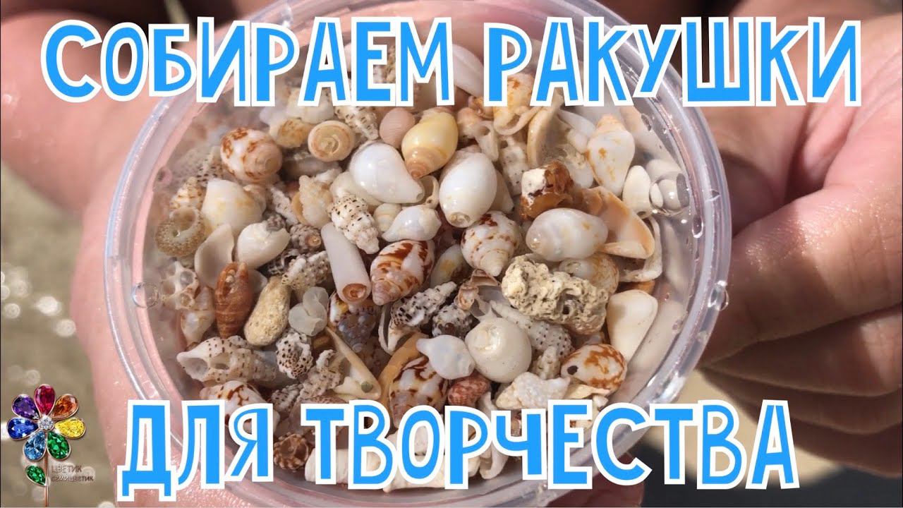 Собираем ракушки для творчества. Природные материалы для поделок.