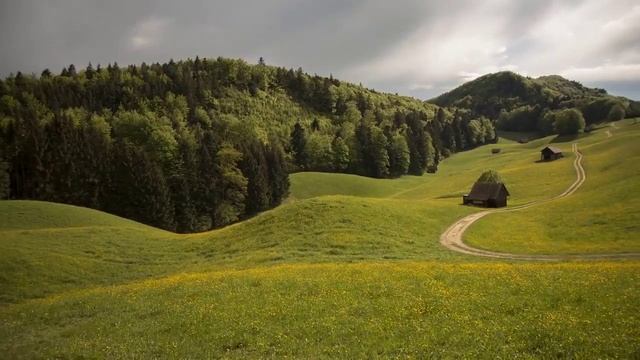 30 невероятно красивых и мудрых цитат, которые стоит запомнить смотреть онлайн