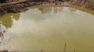 Пруд в деревне. Зеленеет вода в пруду. Канава под дренажную трубу с выводом в пруд. Рыба не всплыла