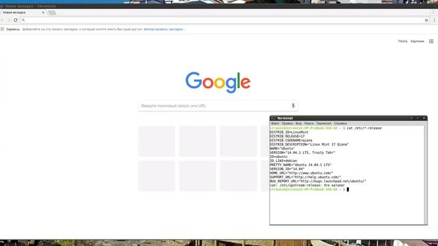НЕ РАБОТАЕТ SKYPE?! ЧТО ДЕЛАТЬ?! КАК БЫТЬ?! [Linux] #1 смотреть онлайн