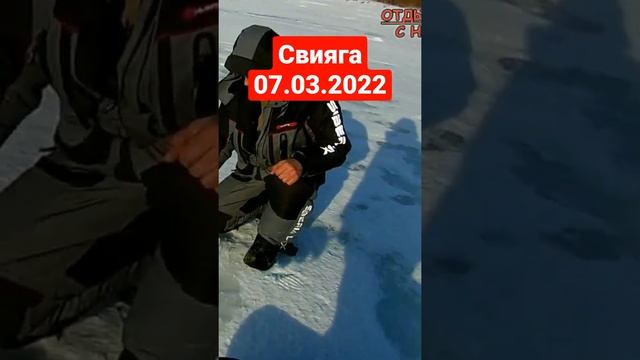 Рыбалка на реке Свияга  07.03.2022. #shorts