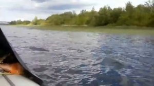 ПВХ лодка Флагман 420 и Сузуки 9.9 (15)