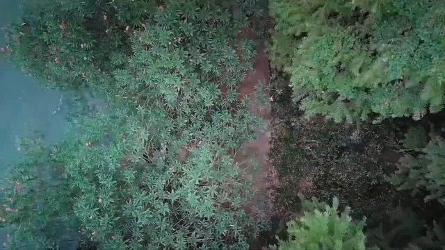 HUAWEI Band 3e - More Than A Smart Band - Now Available смотреть онлайн