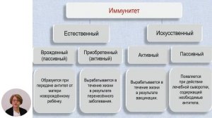 Биология, 11-й класс, Иммунитет. Вакцинация