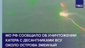 МО РФ сообщило об уничтожении катера с десантниками ВСУ около острова Змеиный #shorts
