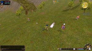 Who Remembers Flyff? | MMORPG Nostalgia!