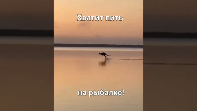 Глюки на рыбалке... #улетноевидео #смешно #шутники #приколы #юмор #шутки #юморина #смех #смешноевидо