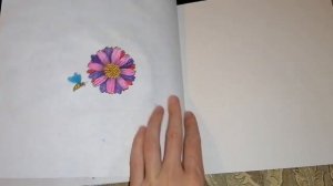 Законченная раскраска Круг жизни и ещё немного готовых страничек из других