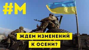 #МОНТЯН: На каждом пруду своя стая «черных лебедей» ?