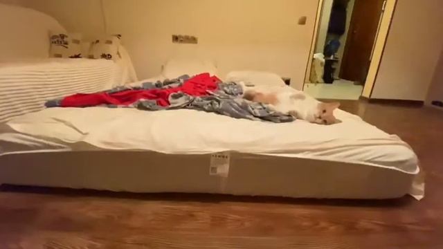 Матрас Armos balance memo смотреть онлайн