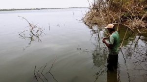 Amazing fishing| catching very big Rohu fishes in indian river| wild fishing