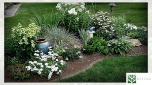 Монохромная клумба | цветник: готовые решения | monochrome flower garden