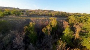 DJI AVATA Просто полетал.