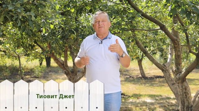 Дачные работы с 19 по 25 августа. ВАЖНЫЕ еженедельные дела по спасению сада