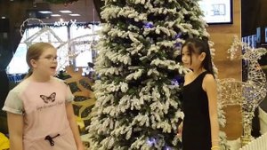 Новогодние поздравление! 3 место - 6 В (Елизавета Е. и Самира Б.)