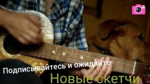 Скетч - Как научиться играть на гитаре + собачий блюз