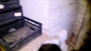 Бункер БОГОВ