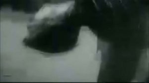 Buddy Holly - Greatest Hits Medley