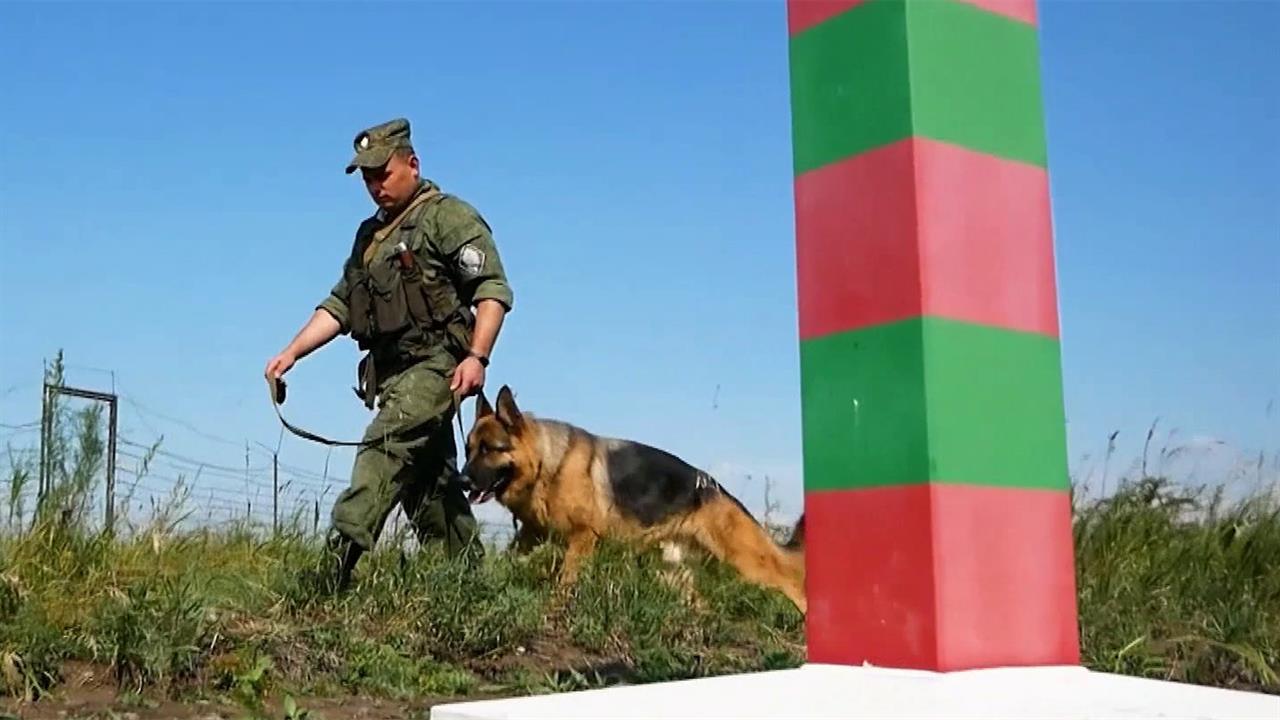 В России отмечают День пограничника