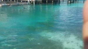 Blue Lagoon Island Excursion in Nassau Bahamas #Vlog 2019 | Victoria Traveller