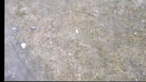 Снятие и замена внутренного подшипника генератора мазда 6