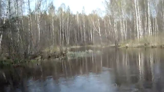 река Созь
