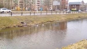 Мы и природа !