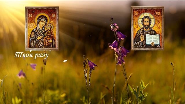 ТОЛЬКО СЕГОДНЯ! НЕ УПУСТИ. СИЛЬНЕЙШАЯ ЗАЩИТА НА ВЕСЬ ГОД! смотреть онлайн