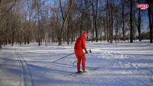 Биомеханика беговых лыж и виды конькового хода