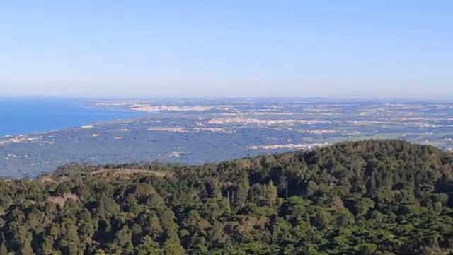 Лес, грибы, природа - окрестности Синтры, Португалия смотреть онлайн