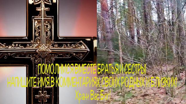 🙏Молитва ЛЮБОЙ ЦЕНОЙ ПРОЧТИ 1 РАЗ! УЙДУТ ВСЕ БОЛЕЗНИ!🙏 смотреть онлайн