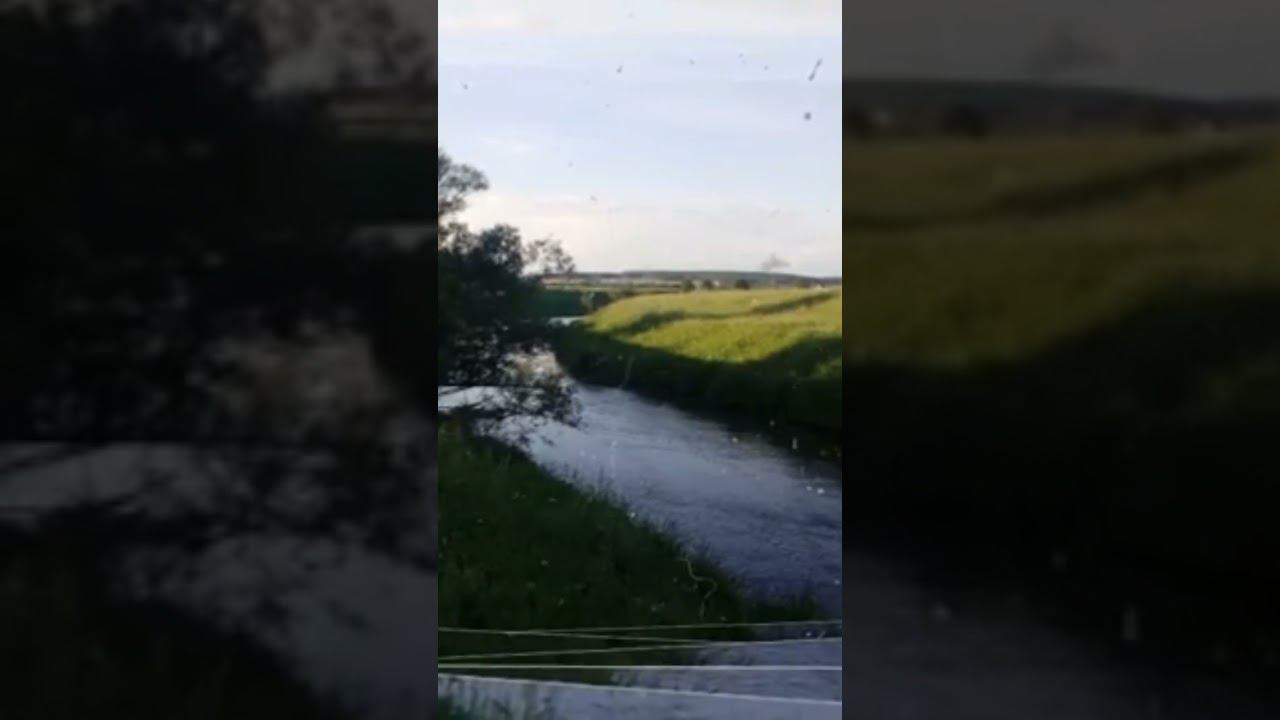 Акульи зубы на Урале #shorts смотреть онлайн