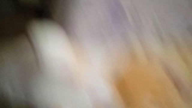 уработал кота батона смотреть онлайн