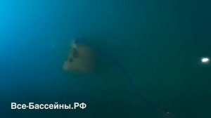 Ремонт робота пылесоса | Запуск робота-пылесоса для бассейна после ремонта