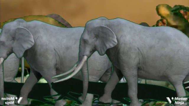 Save Yourself! Animal Stampede Add Round One