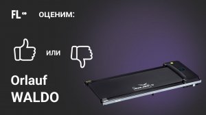 Orlauf Waldo [ОБЗОР]  стоит ли покупать эту беговую дорожку ❓