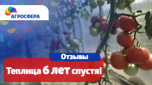 Отзывы о теплицах агросфера / агросфера.рф