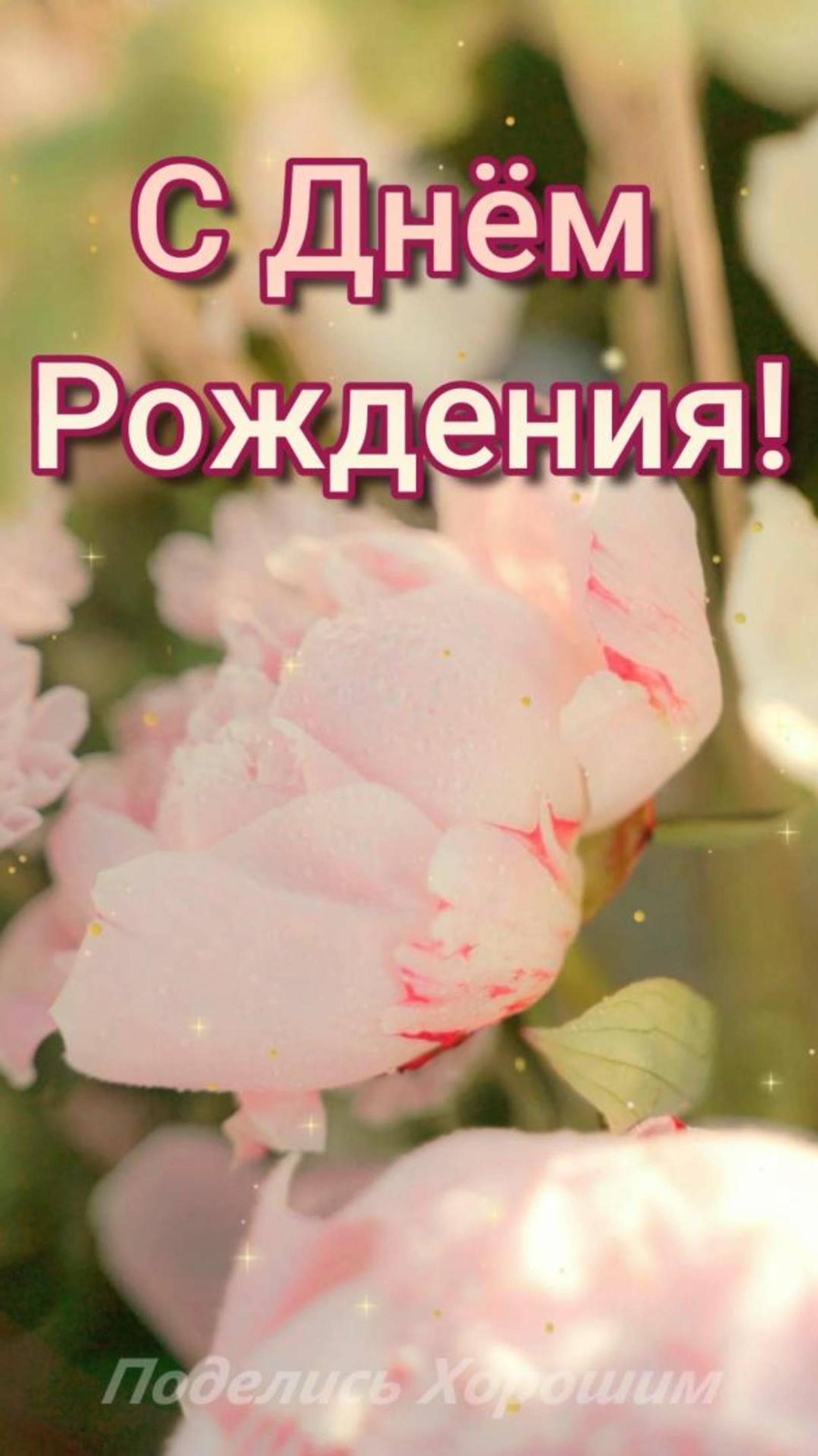 С Днём Рождения!