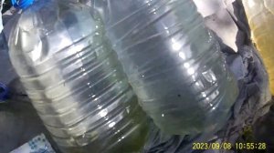 Вода из Святого источника через 18 дней пожелтела.