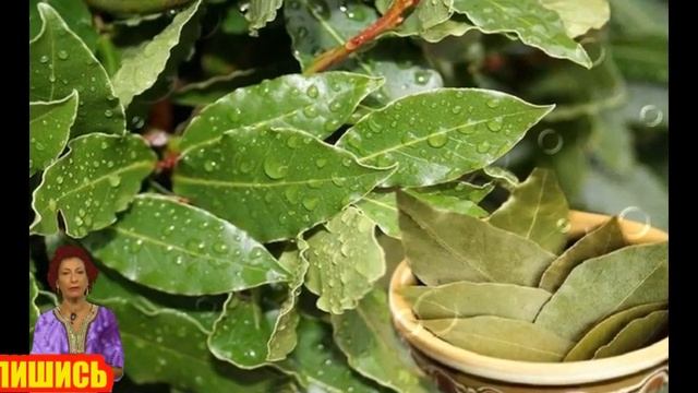 5 СПОСОБОВ ИЗБАВИТЬСЯ ОТ КОСТОЧКИ НА НОГЕ ,#здоровье смотреть онлайн