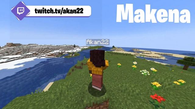 MINECRAFT 1.20 New Default Skins смотреть онлайн
