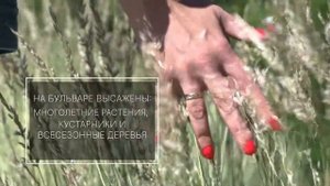 Репинские Усадьбы. Центральный бульвар